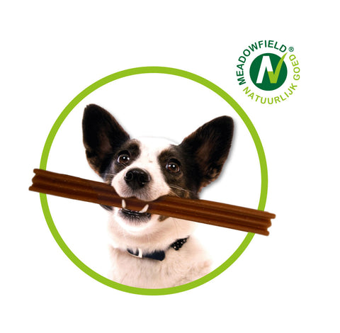 Honden Dogsmile natuurlijke hondentandenborstel - Vega - 4 stuks groot