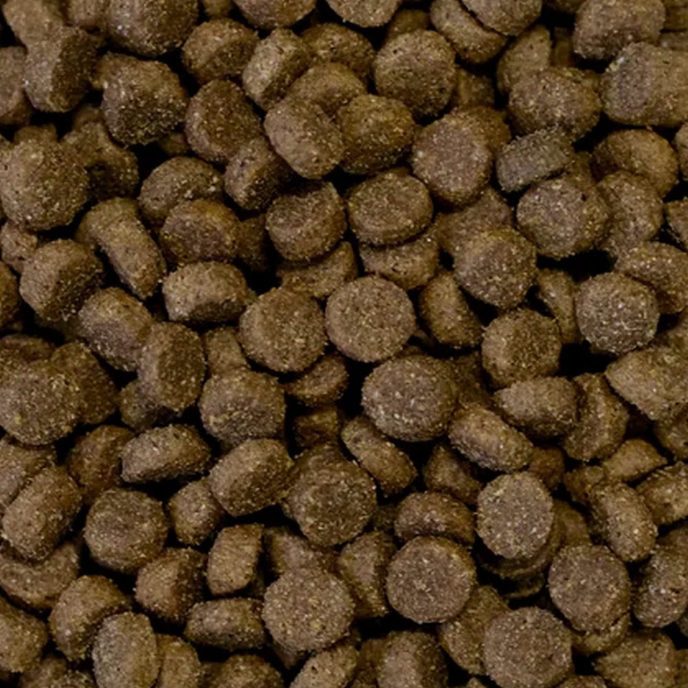 Krokante hondenbrokken Met vers lamsvlees en rijst (geëxtrudeerd) 10 kilo