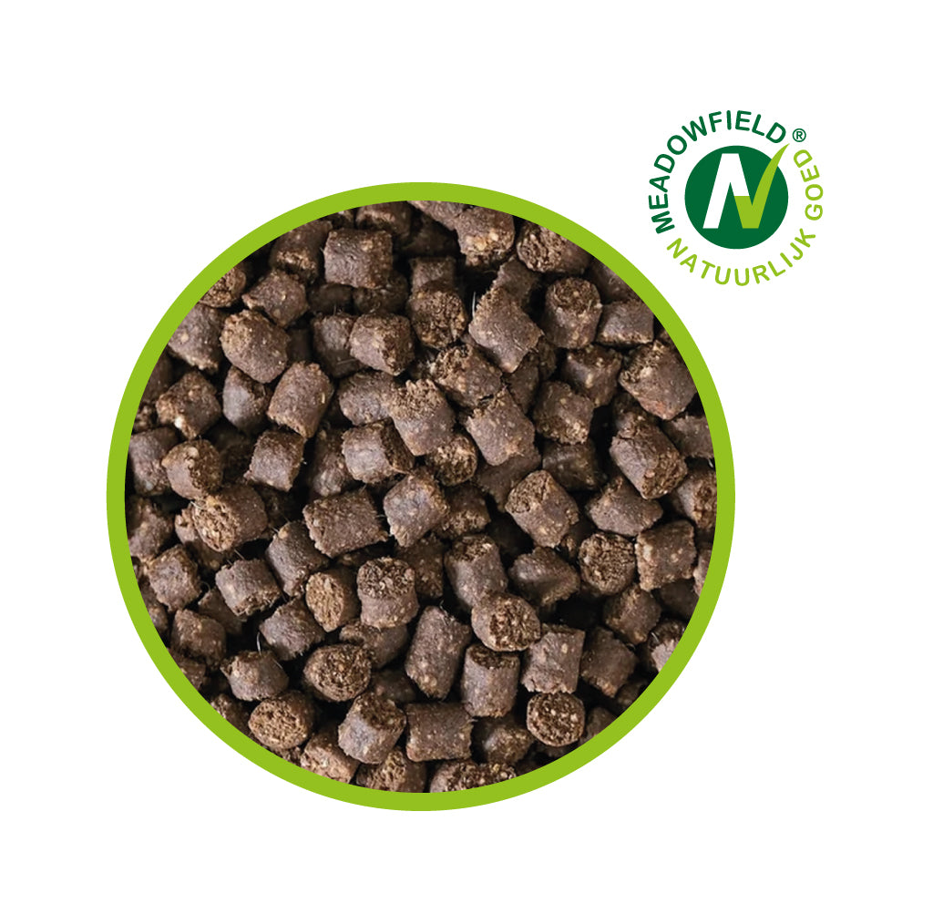 Lammfleischstreifen (1 kg) - Natürliche Snacks für Hunde Lammfleischstreifen (1 kg) - Natürliche Snacks für Hunde