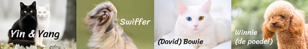 Naam voor hond of kat kiezen