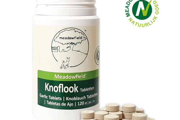 Knoflook voor honden: veilig tegen teken en vlooien?