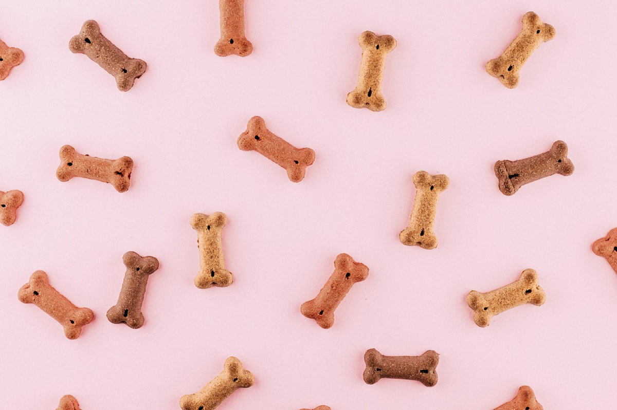 Botvormige hondensnacks van bovenaf op een effen achtergrond, als beeld bij insectensnacks voor honden