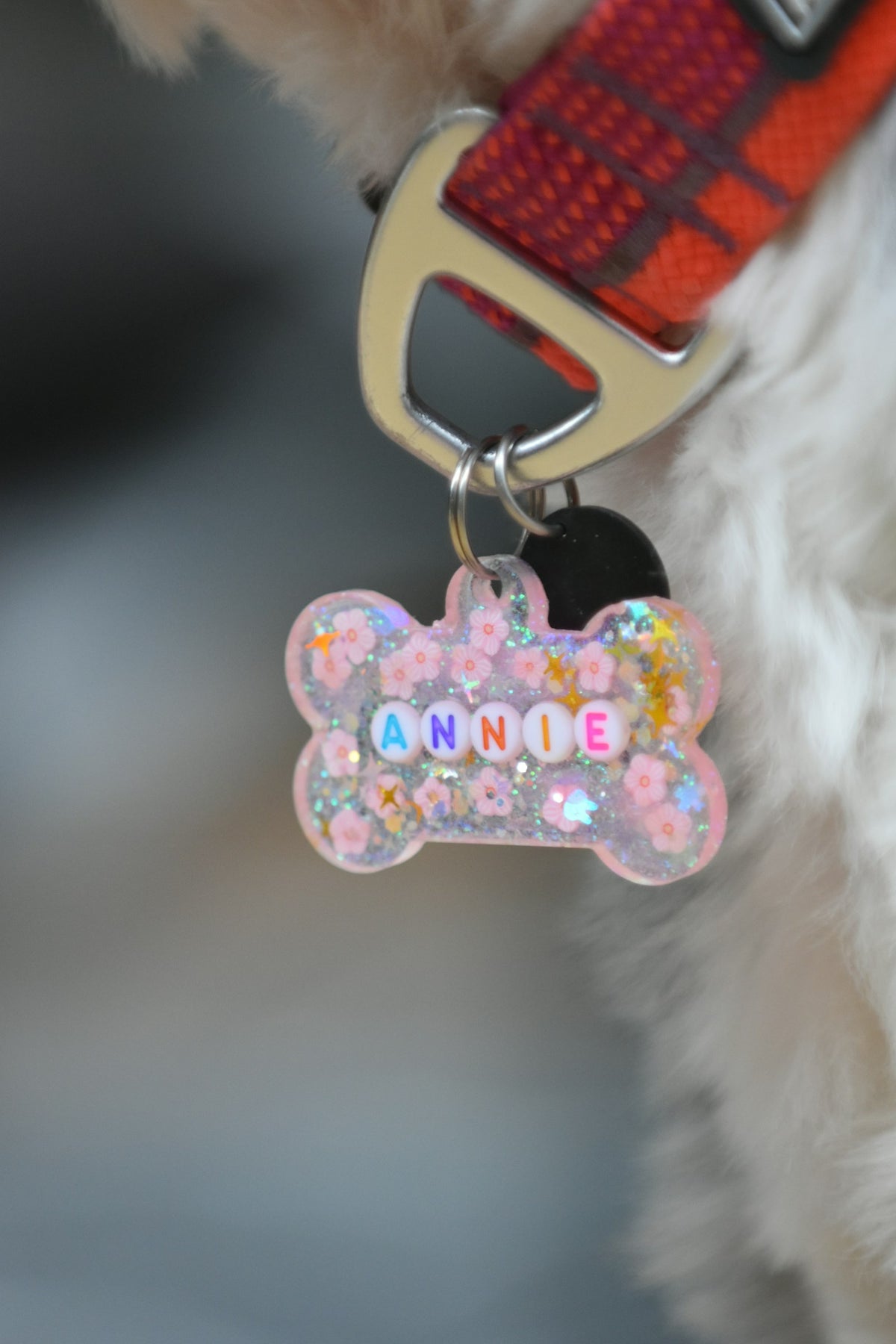 Hond met een gegraveerde naampenning aan de halsband