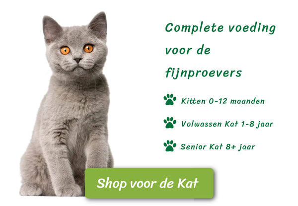 Katten voeding