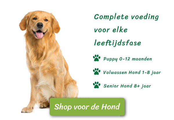 Honden voeding