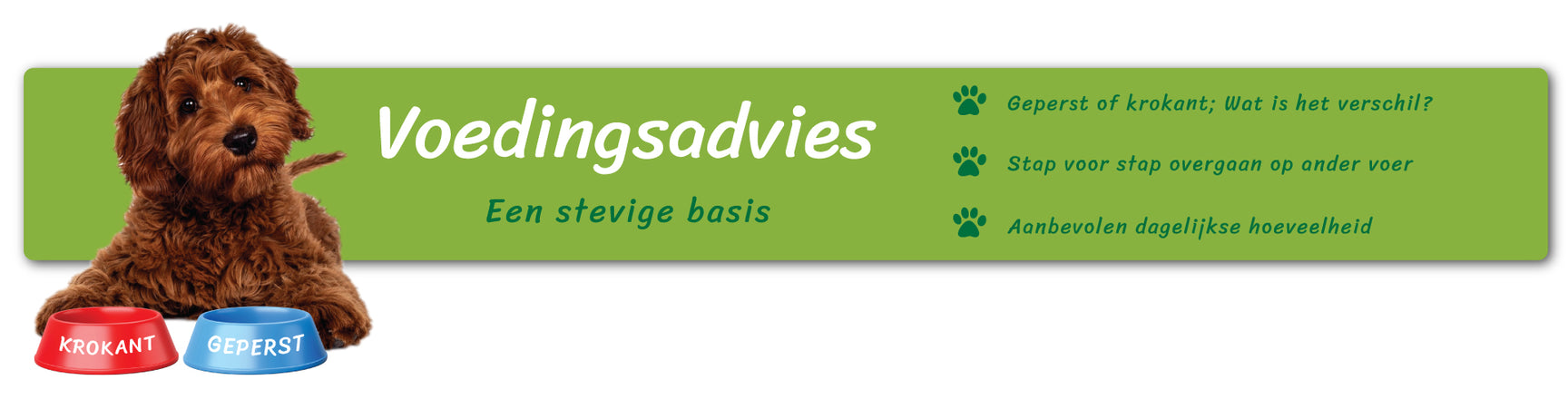 Voedingsadvies voor honden en katten