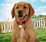 Hondenpenning of sleutelhanger inclusief naam schuin geplaatst en achterzijde gravure