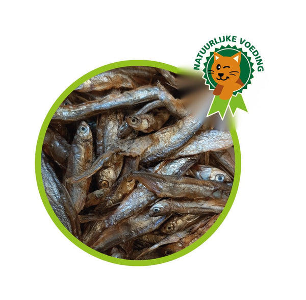 Gedroogde visjes – pure natuurlijke snack voor de kat