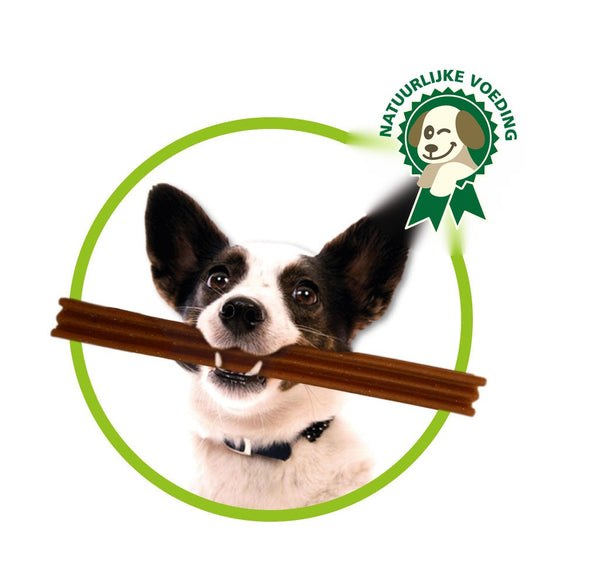Honden Dogsmile natuurlijke hondentandenborstel - Vega - 4 stuks - 26 cm