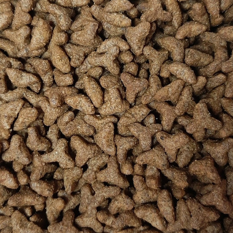 Masterclass krokante kattenbrokken - Sensitive - Verse zalm (geëxtrudeerd) - 3 kilo