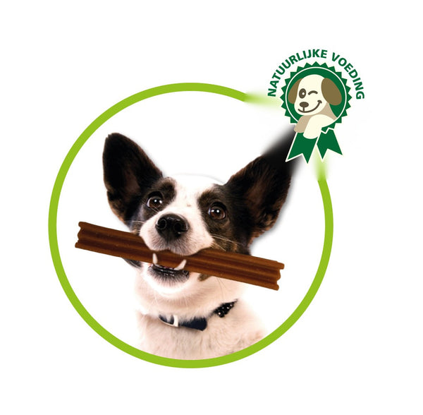 Honden dental kauwsticks - Vega - 5 stuks