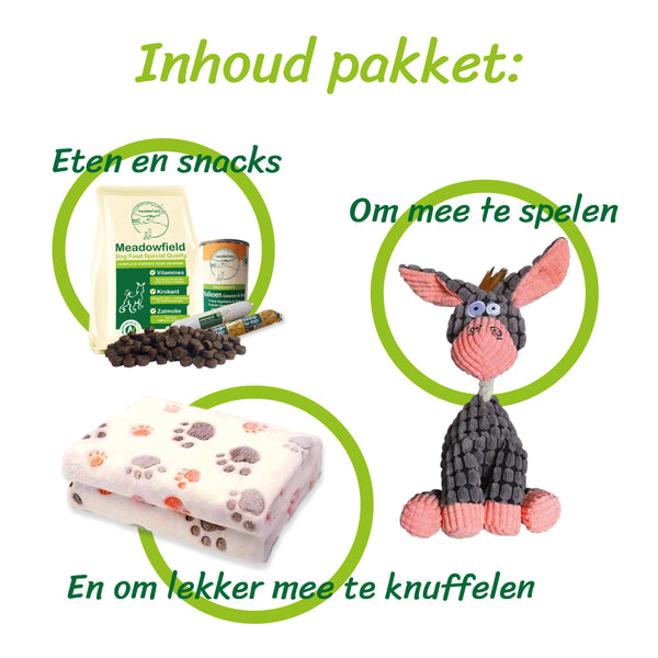Compleet Pakket voor een Puppy - Eten & Spelen