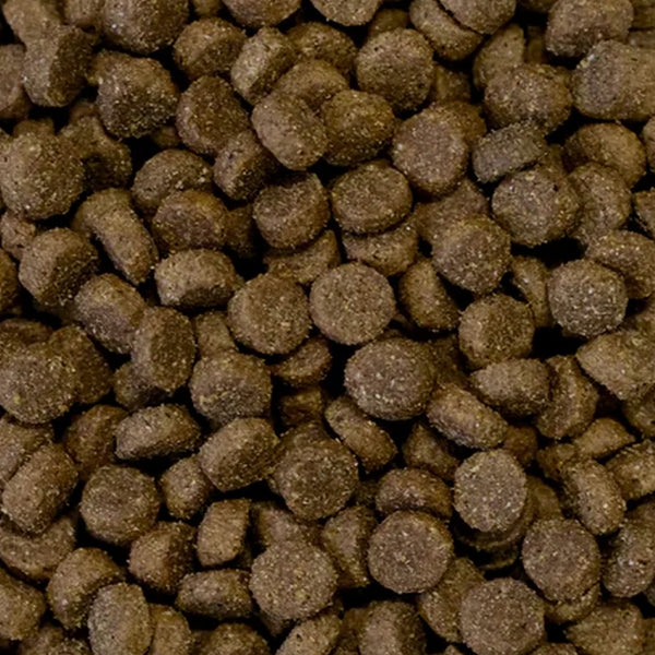 Krokante hondenbrokken - Met vers lamsvlees en rijst - (geëxtrudeerd) 10 kilo