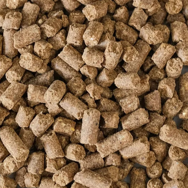 8718104470071 Special Quality hondenbrokken - Kip-rijst (geperst) - 15 kilo