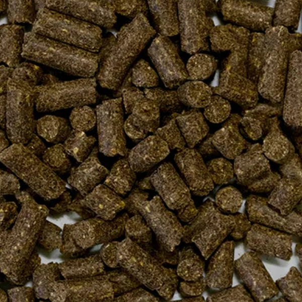 8718104470156 Special Quality hondenbrokken - Lam (geperst) - 15 kilo