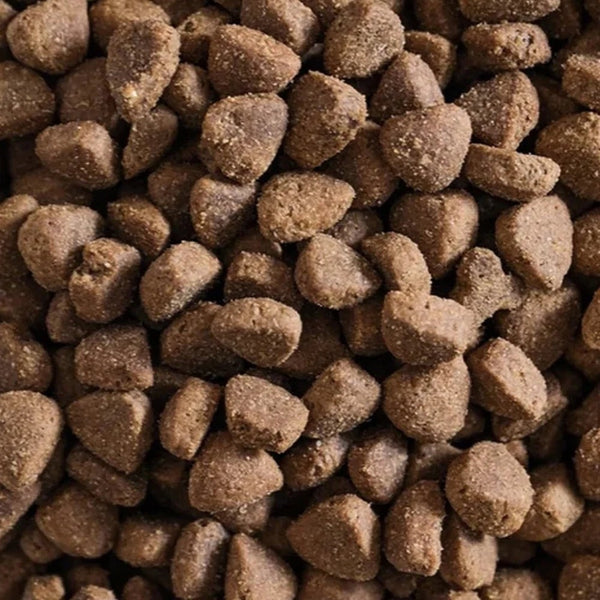 Masterclass krokante hondenbrokken Topvoer - Graan & Glutenvrij -(geëxtrudeerd) 10 kilo