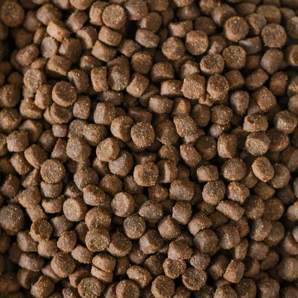 8718104470859 Masterclass krokante kattenbrokken Exclusive - Verse kip (geëxtrudeerd) - 5 kilo
