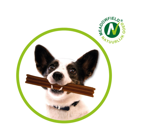 8718104471504 Honden dental kauwsticks - Vega - 5 stuks