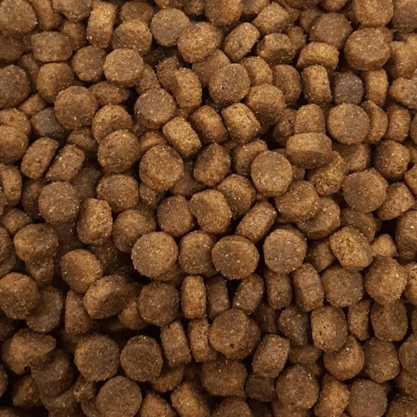 Masterclass krokante hondenbrokken - Lam - rijst (geëxtrudeerd) 5 kilo (Mini voor kleine hondjes)