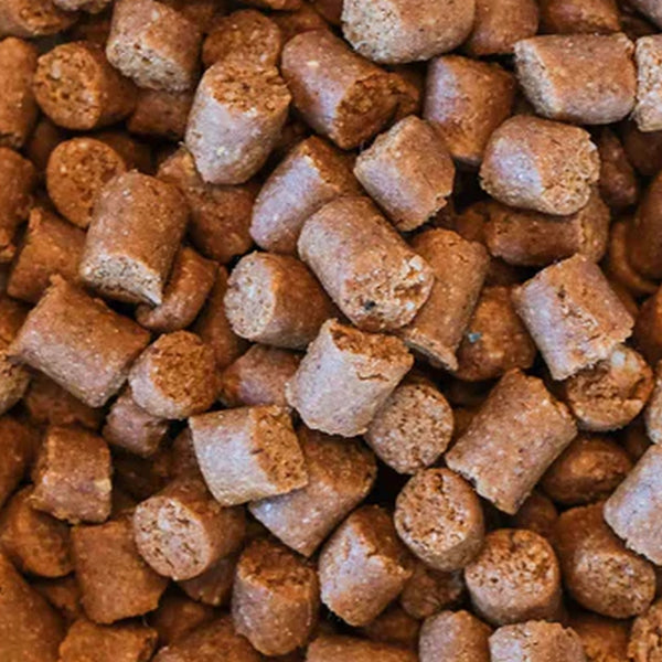 Honden Minitrainers - mix van kip, paard, rund en lam - 500 gram